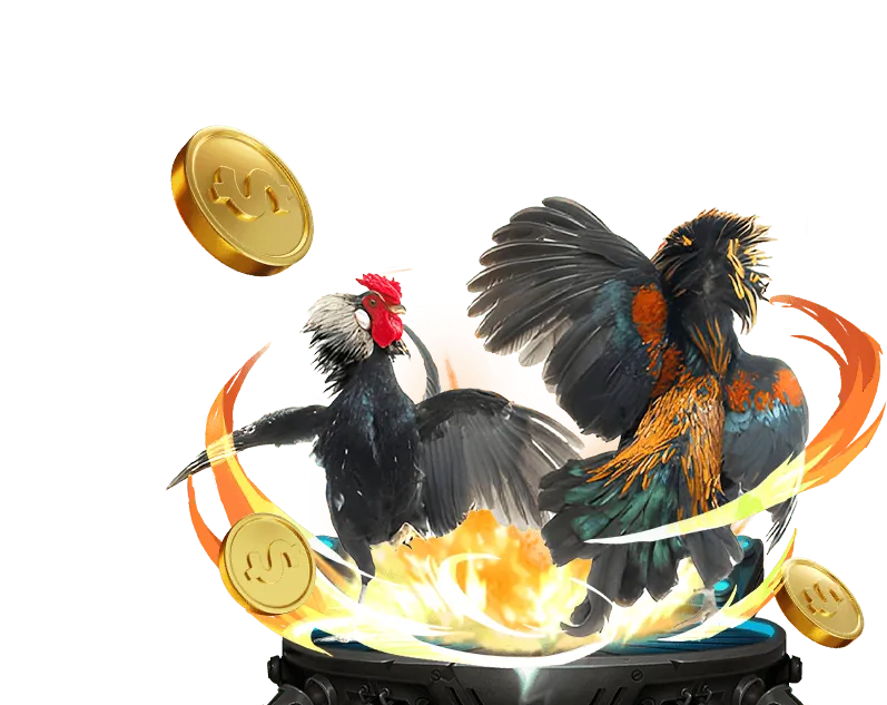 Lợi ích đối tác caxeng 2